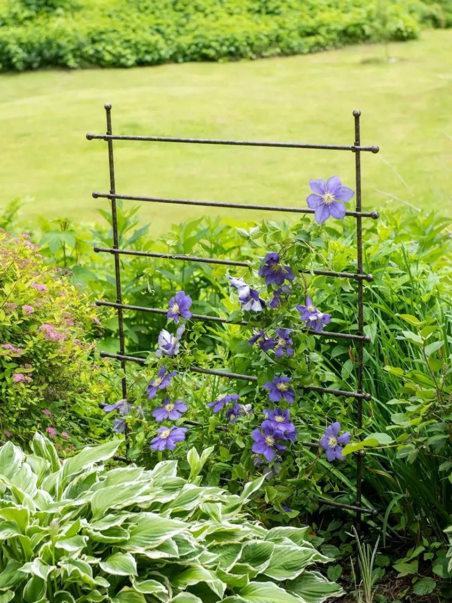 Plant Supports * | Gsc Jardin Ladder Trellis