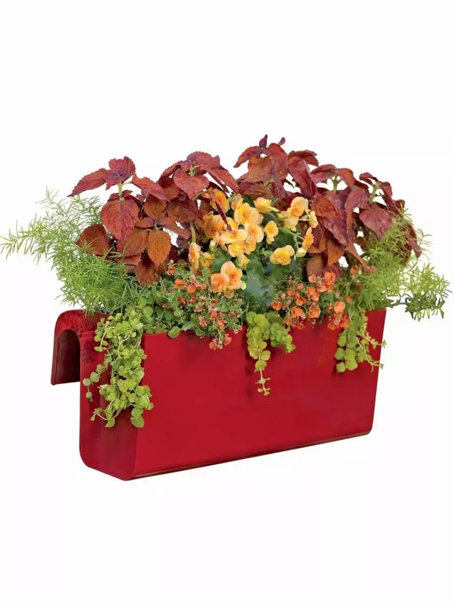 Planters & Raised Beds * | Gsc Viva Self-Watering Balcony Railing Planter