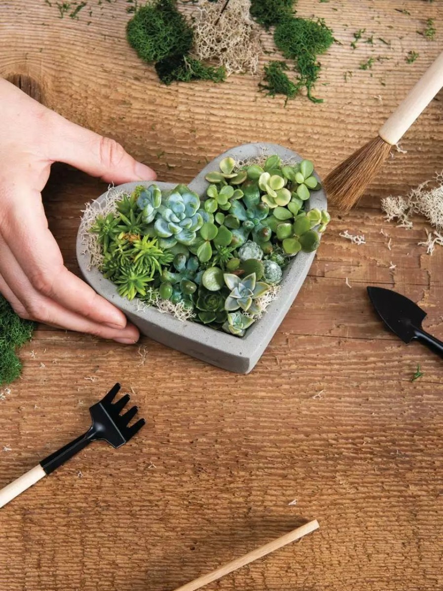 Home & Kitchen * | Gsc Heart-Shaped Concrete Tabletop Planter