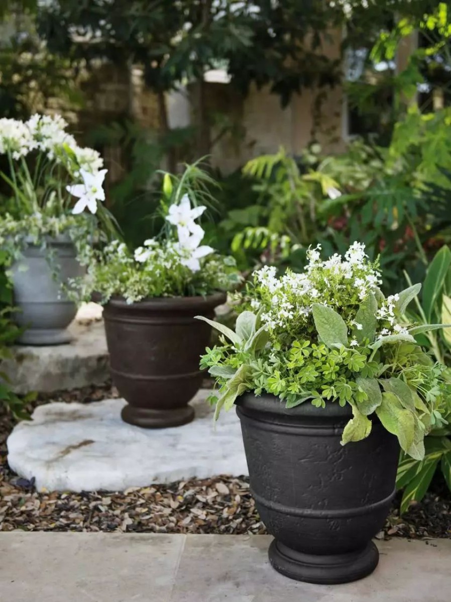 Planters & Raised Beds * | Gsc Kylemore Self-Watering Urn Planter