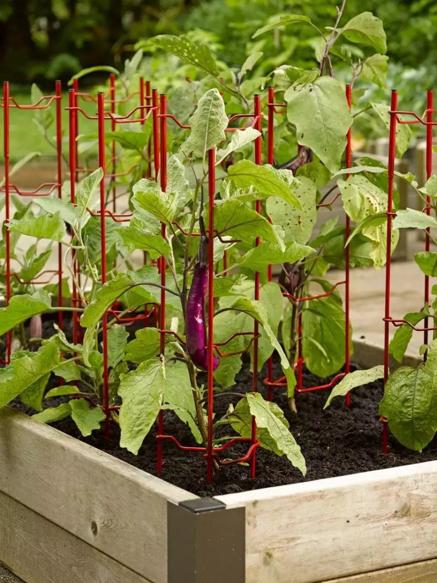 Plant Supports * | Gsc Pepper And Eggplant Stakes, Set Of 3