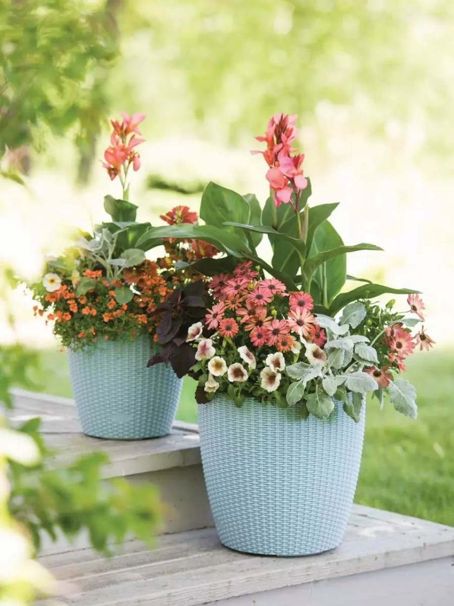 Planters & Raised Beds * | Gsc Weave Self-Watering Round Planter, 14