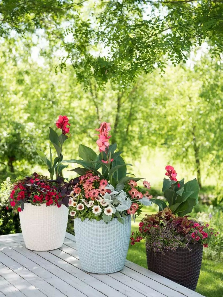 Planters & Raised Beds * | Gsc Weave Self-Watering Round Planter, 14