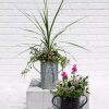 Planters & Raised Beds * | Gsc Metal Bucket Planters