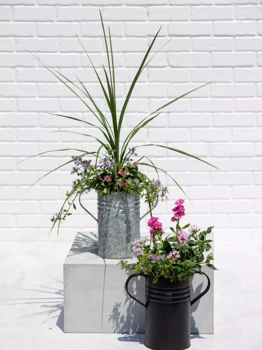 Planters & Raised Beds * | Gsc Metal Bucket Planters