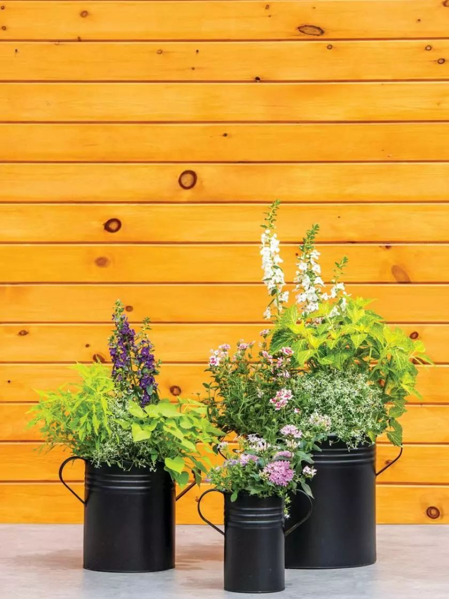 Planters & Raised Beds * | Gsc Metal Bucket Planters